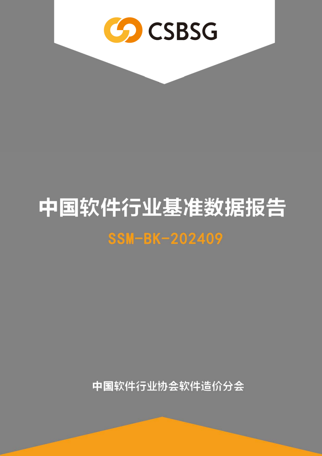 中国软件行业基准数据报告（SSM-BK-202409）